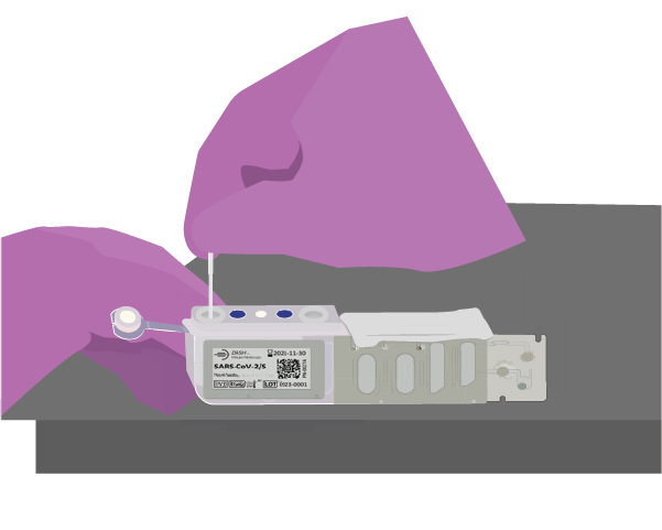DASH™ Rapid PCR System swab insertion