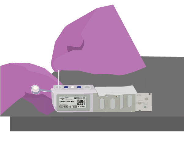 DASH™ Rapid PCR System swab insertion DASH™ Rapid PCR System swab insertion